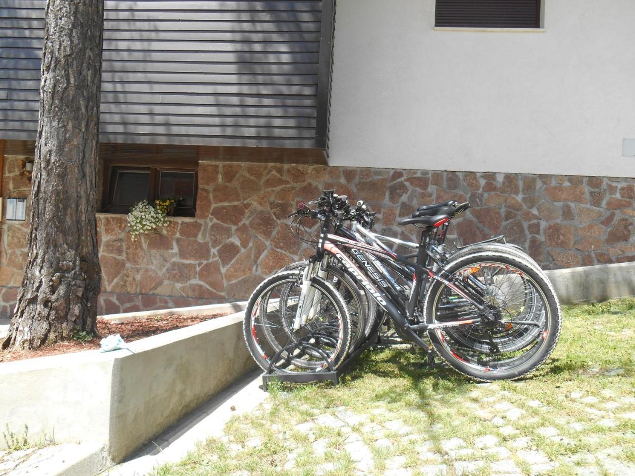Vila Plamenac Divčibare Exterior foto